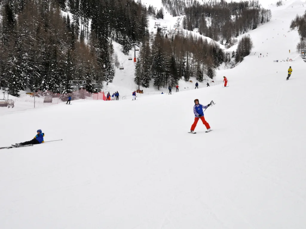 Blick über die Piste auf den bewaldeten Hang.